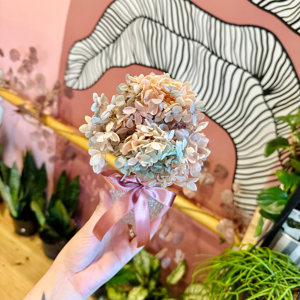 Hydrangea Posie & Vase