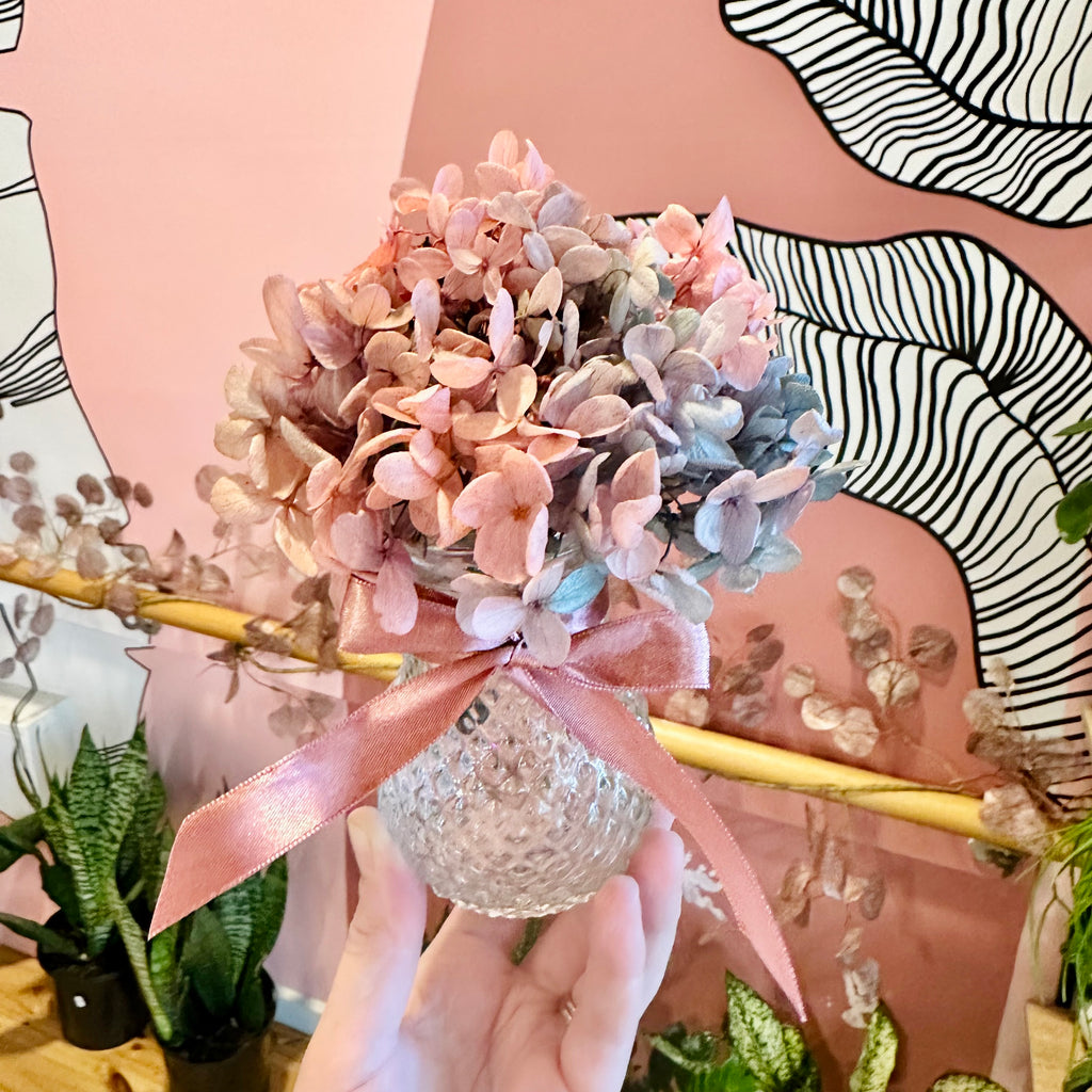 Hydrangea Posie & Vase