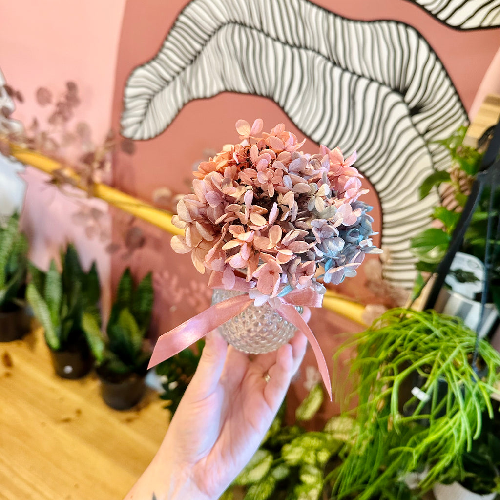 Hydrangea Posie & Vase