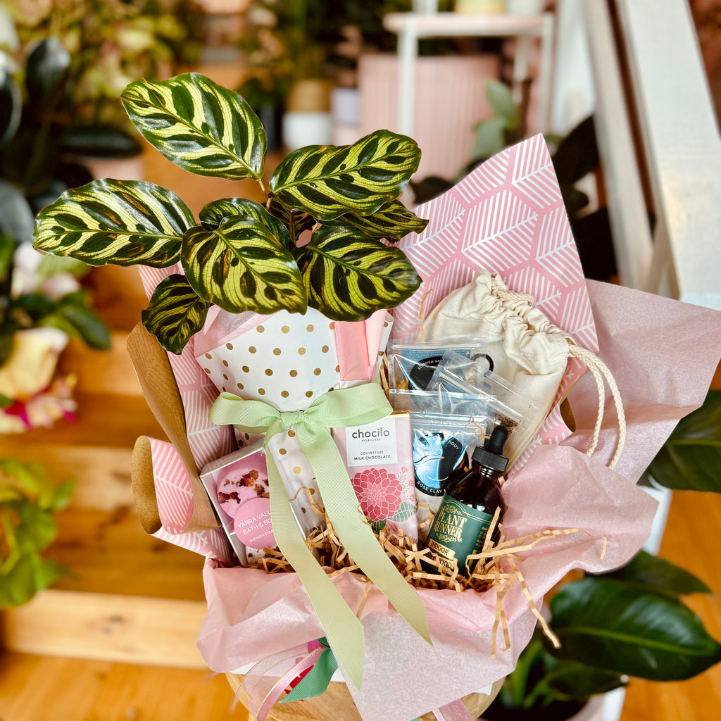 Botanical Bliss Gift Box