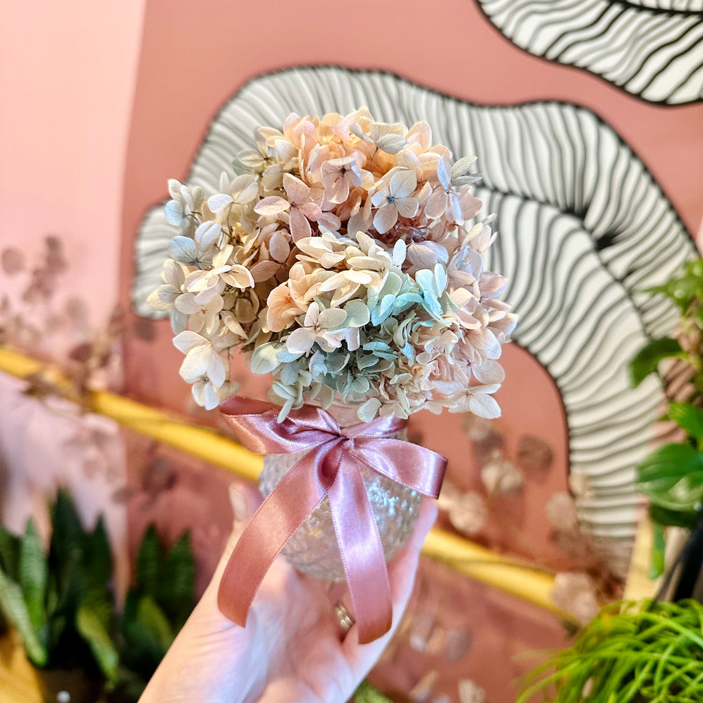 Hydrangea Posie & Vase