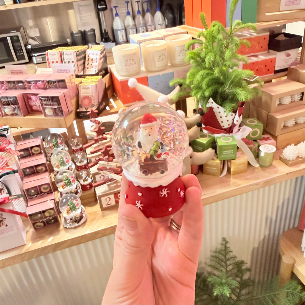 Christmas Snow Globes