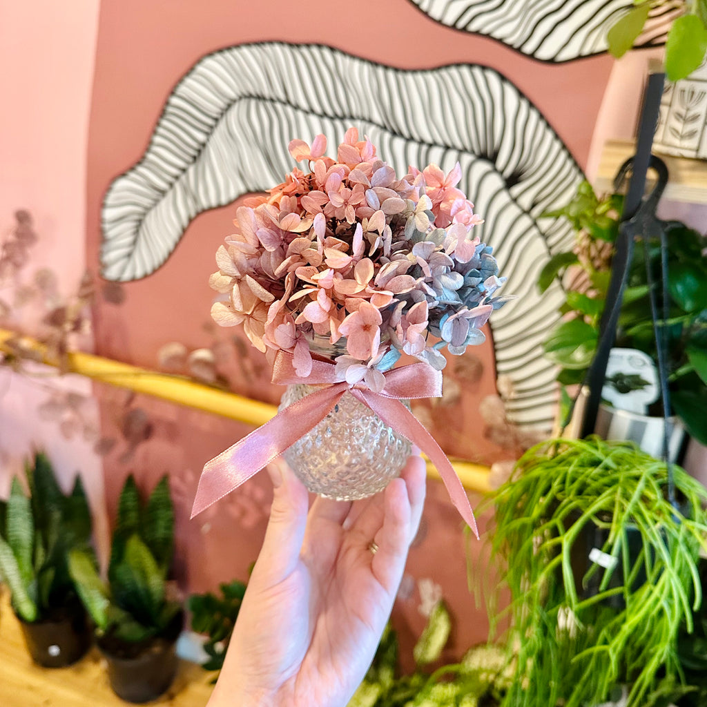 Hydrangea Posie & Vase