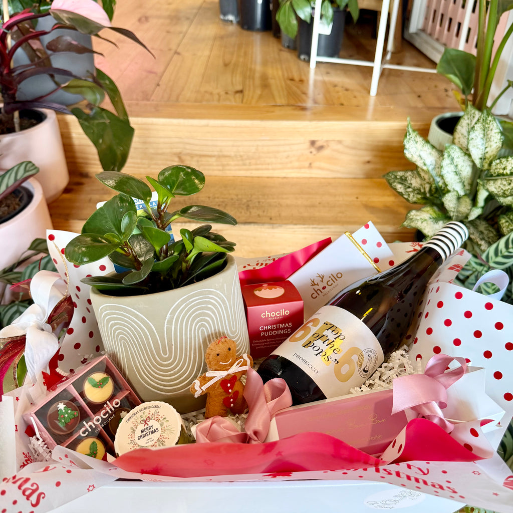 A Very Merry Christmas Gift Box