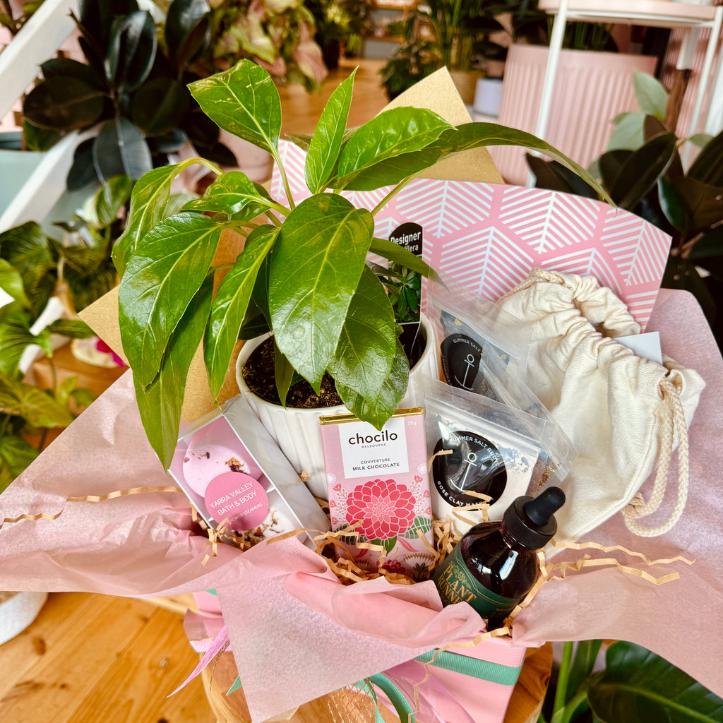 Botanical Bliss Gift Box