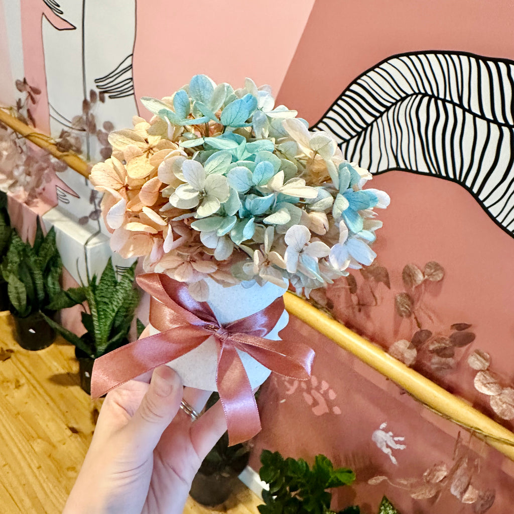 Hydrangea Posie & Vase