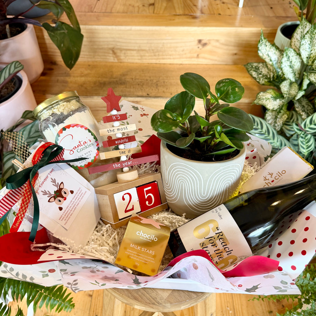 A Family Christmas Countdown