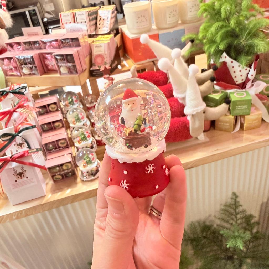 Christmas Snow Globes
