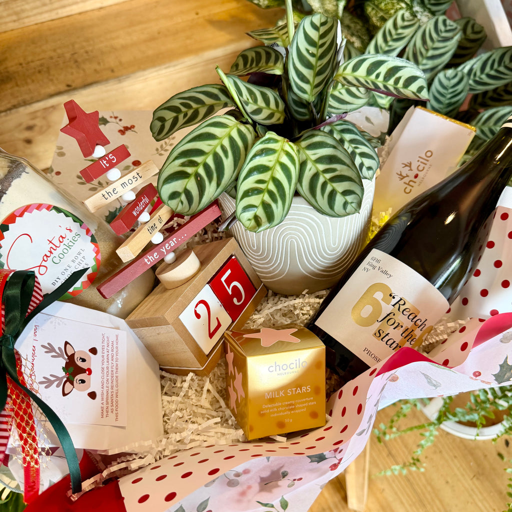 A Family Christmas Countdown