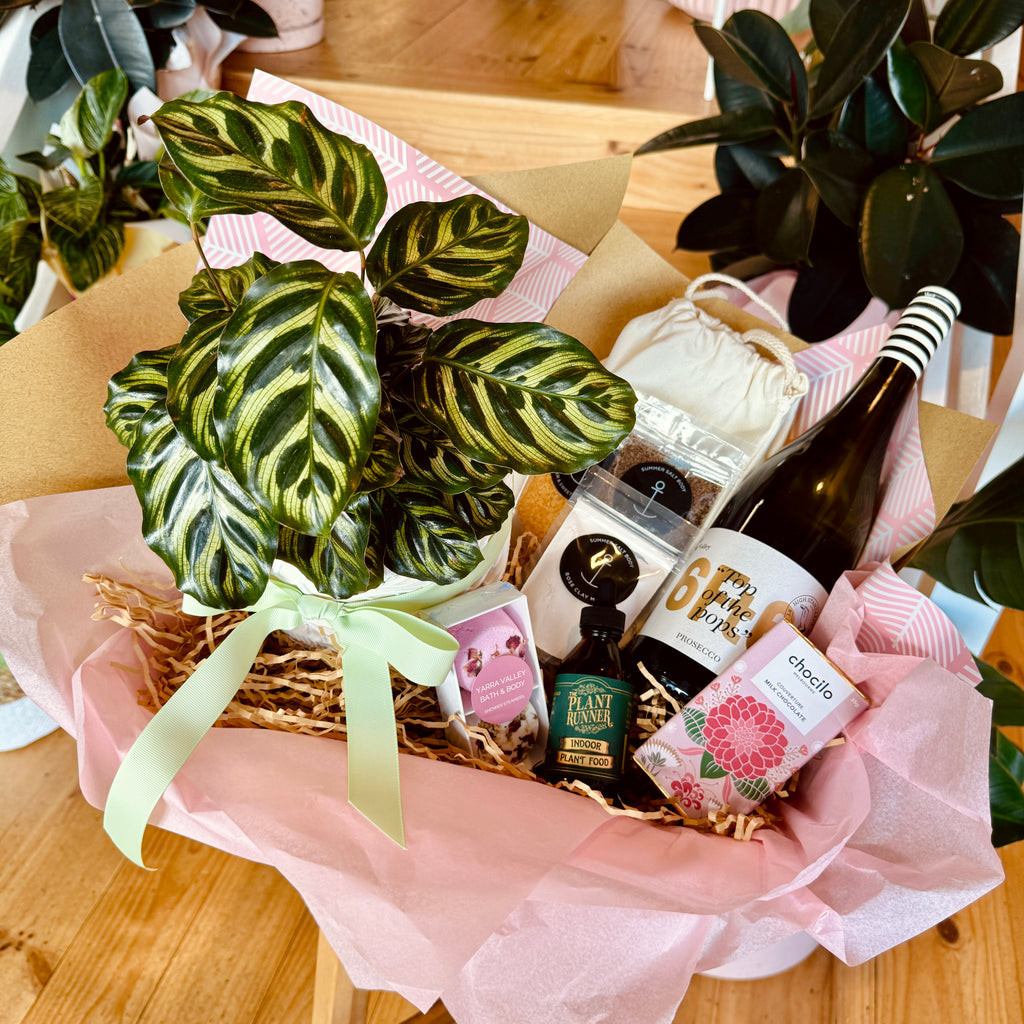 Botanical Bliss Gift Box