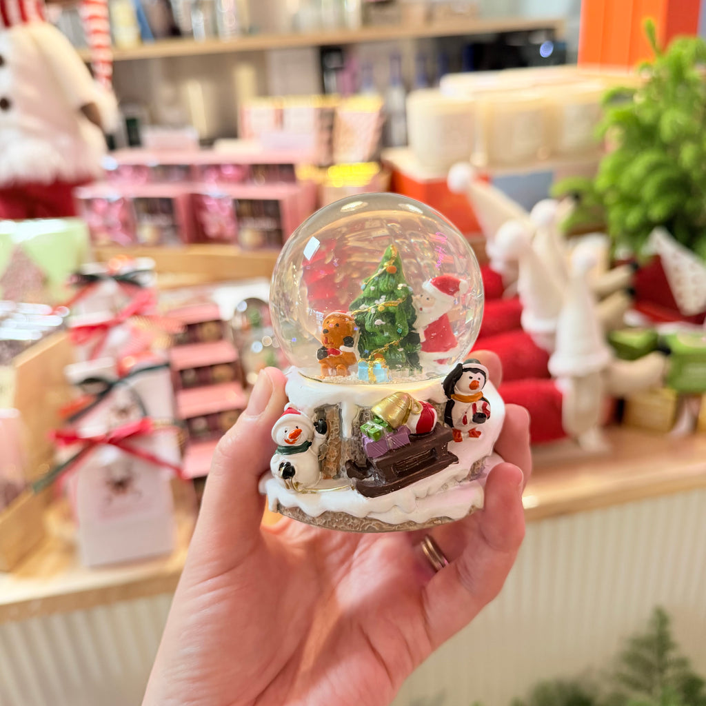 Christmas Snow Globes
