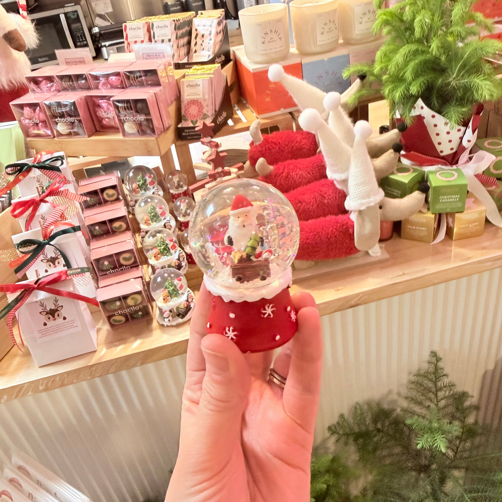 Christmas Snow Globes