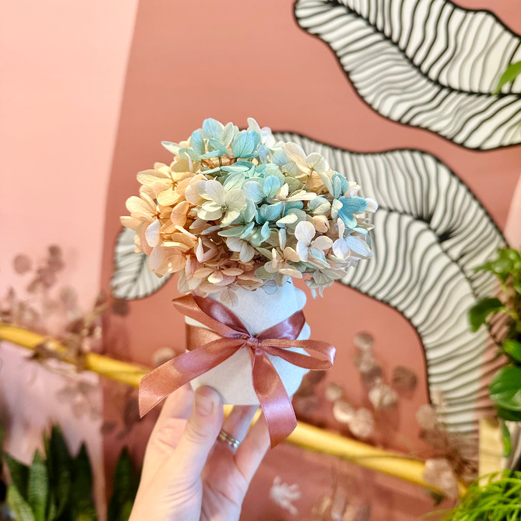 Hydrangea Posie & Vase