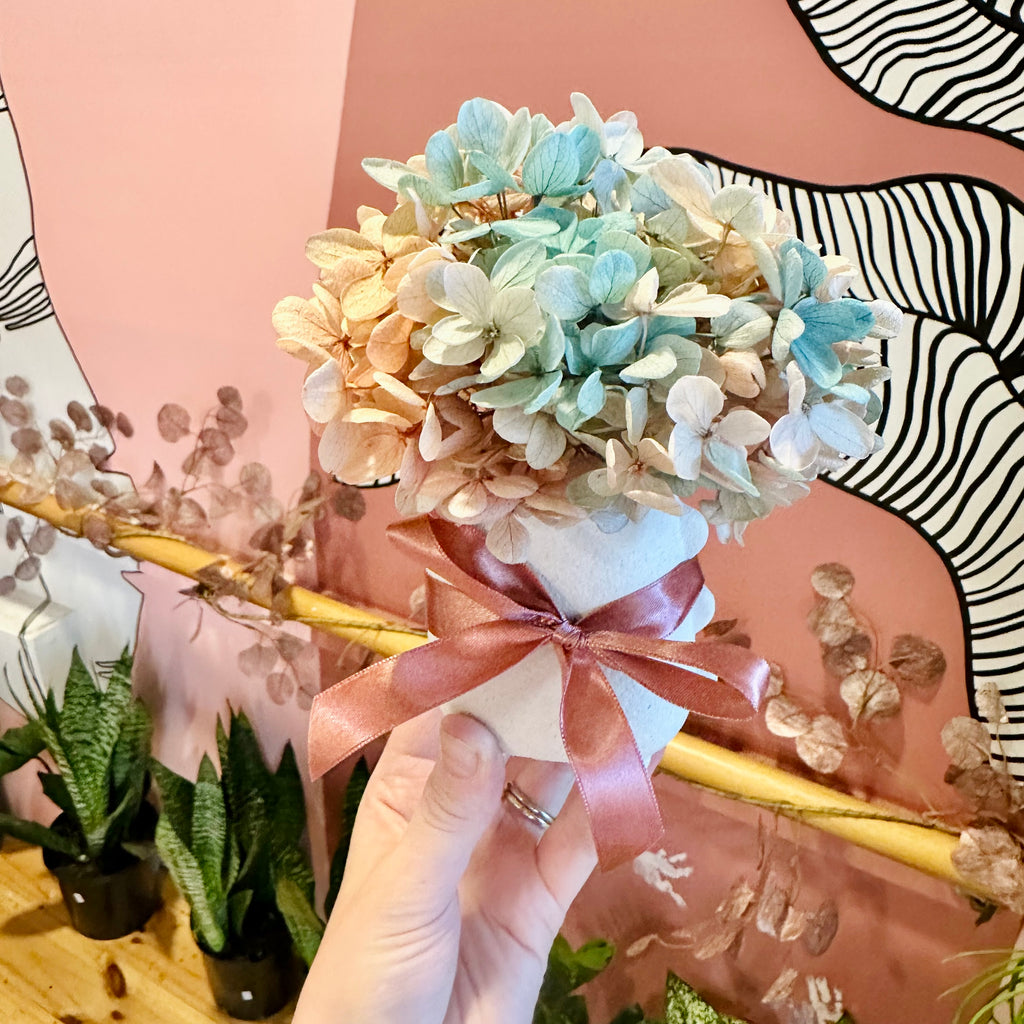 Hydrangea Posie & Vase