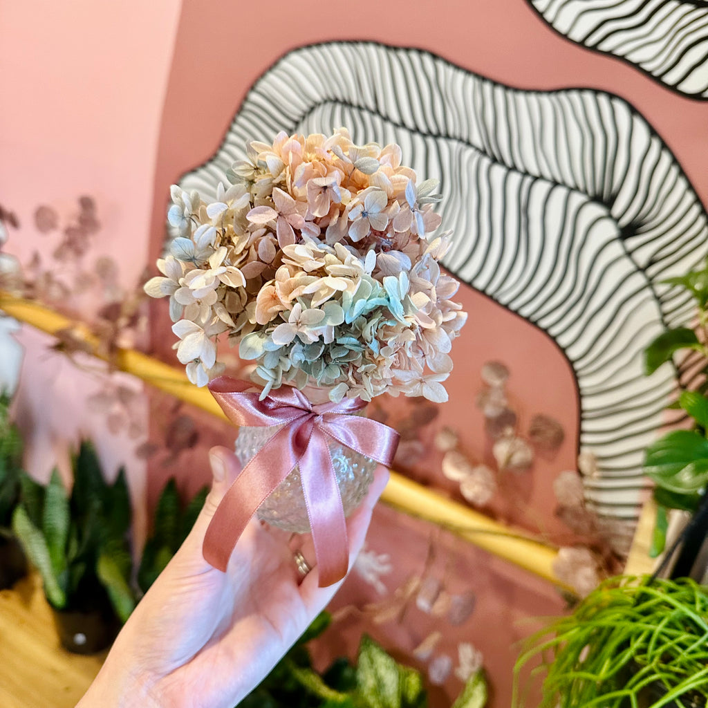 Hydrangea Posie & Vase