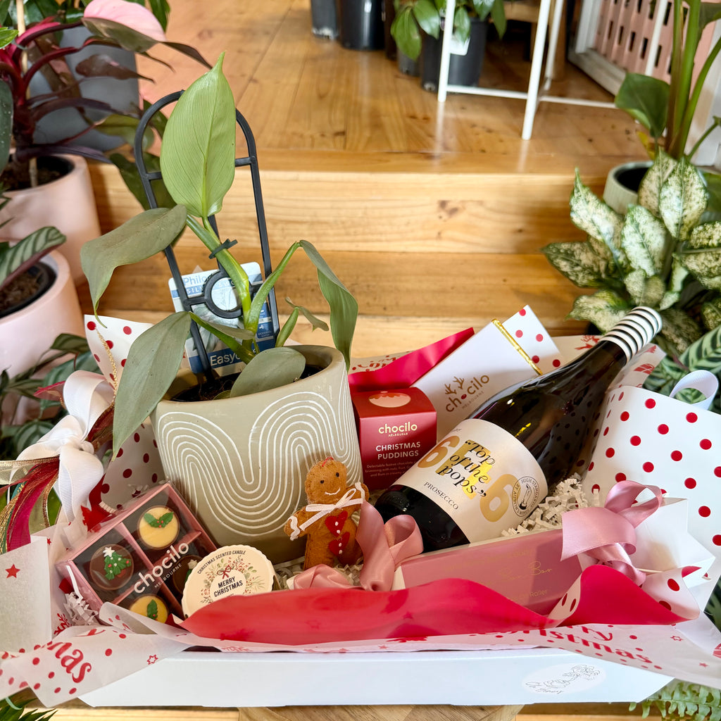 A Very Merry Christmas Gift Box