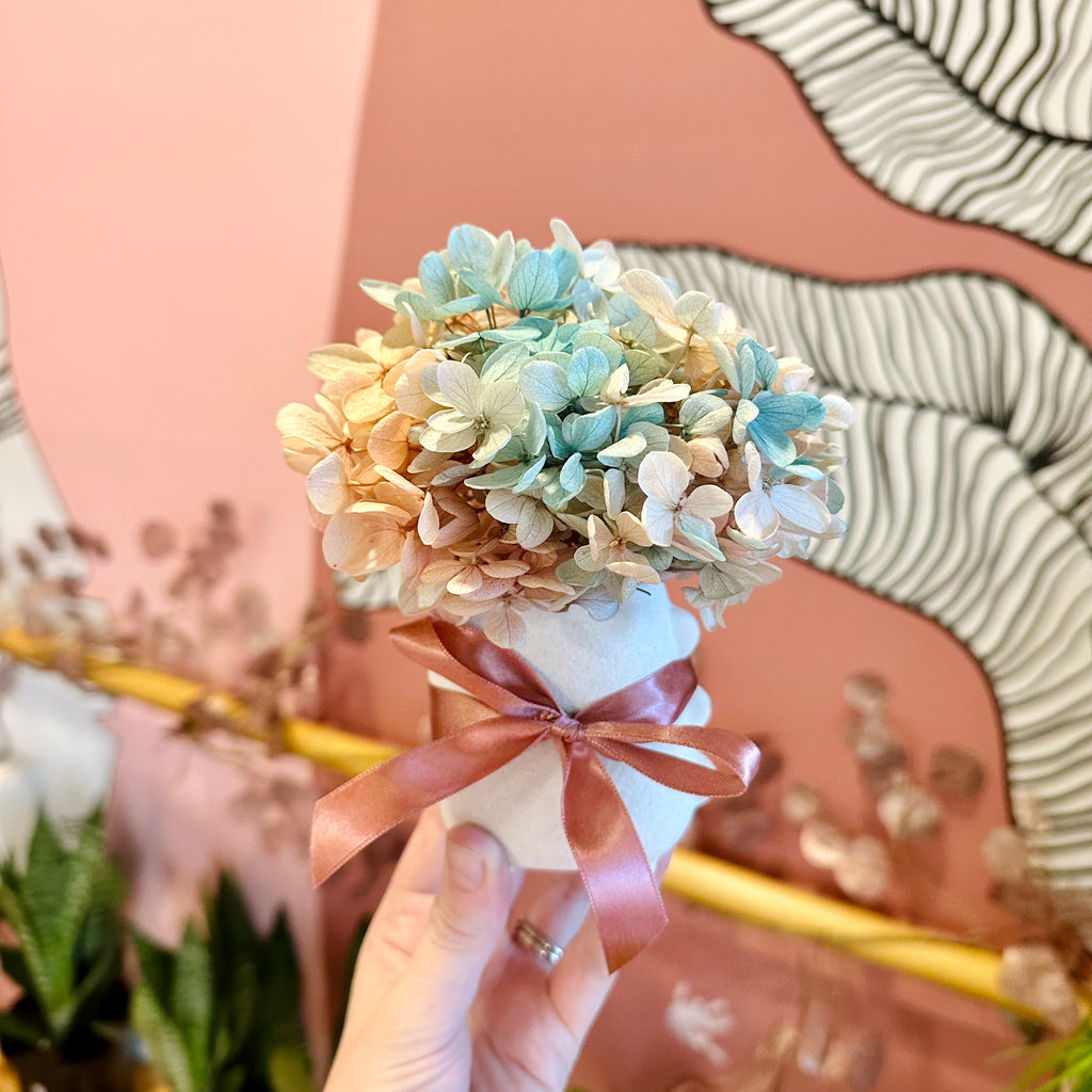 Hydrangea Posie & Vase