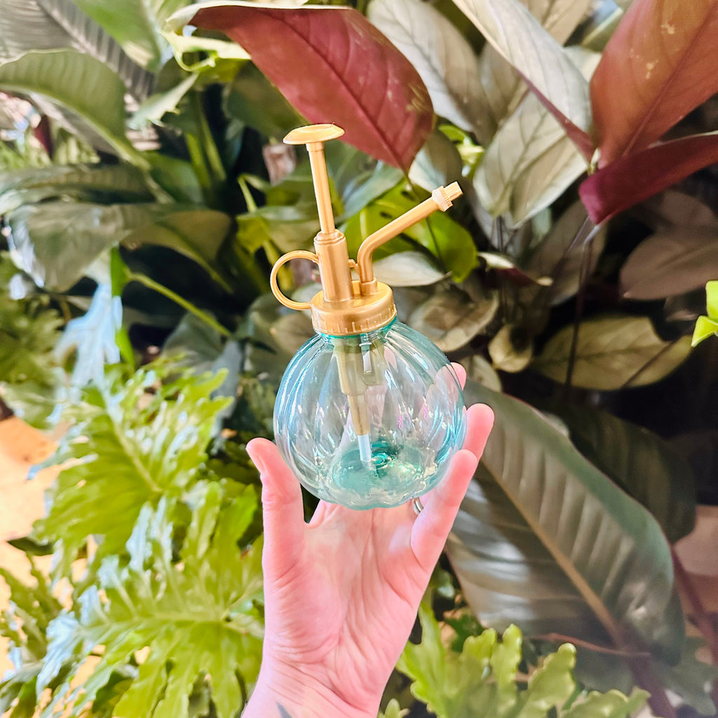 Water Mister