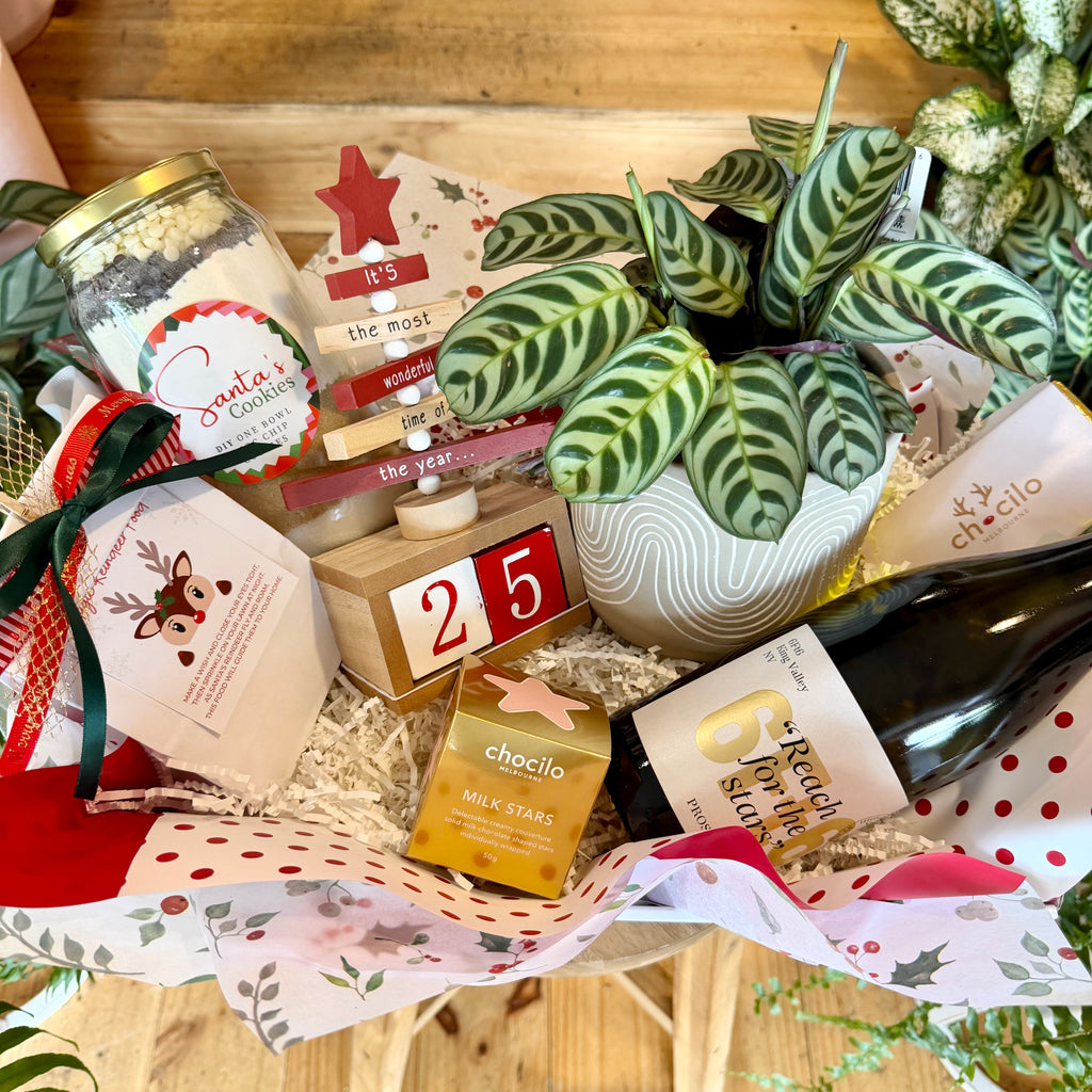 A Family Christmas Countdown