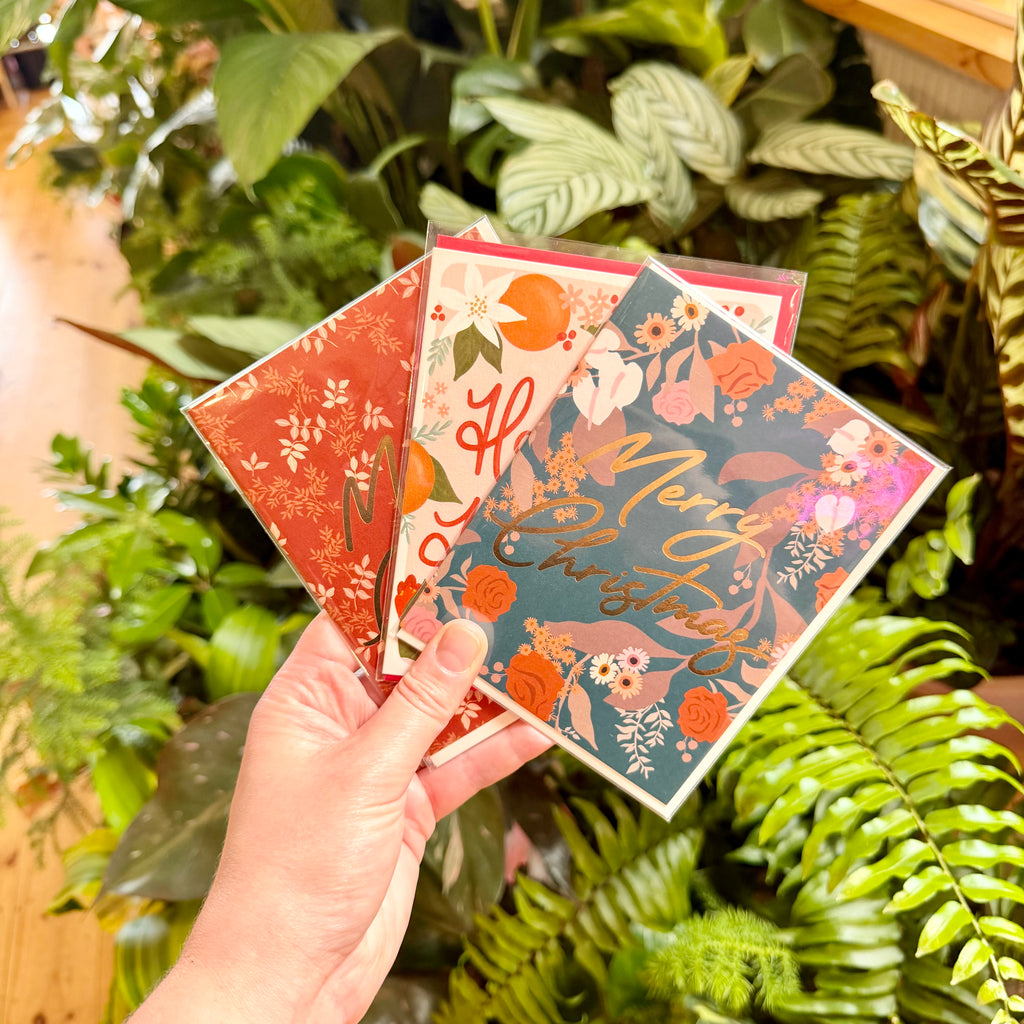 A Family Christmas Countdown