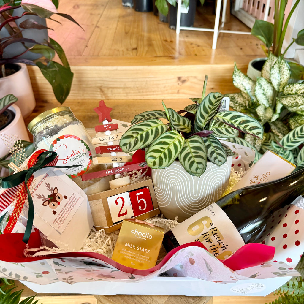 A Family Christmas Countdown