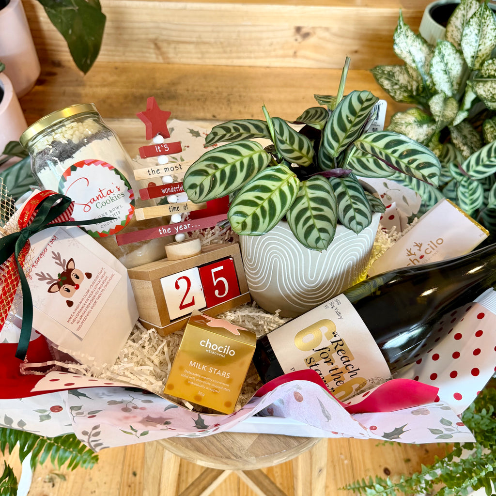 A Family Christmas Countdown