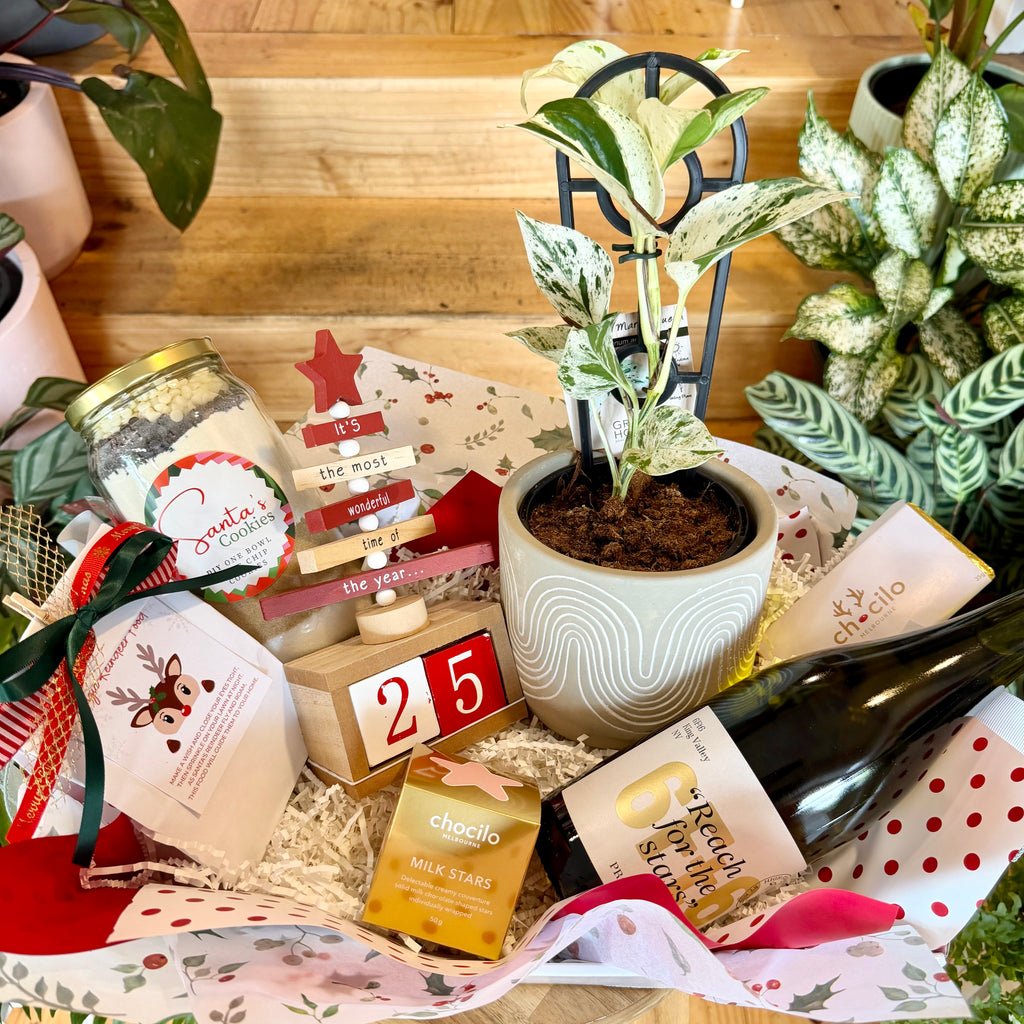 A Family Christmas Countdown