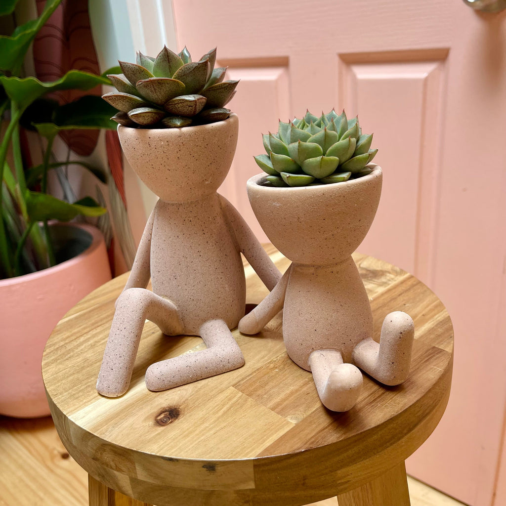 Small People Pot + Assorted plant