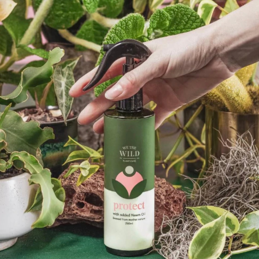 Protect Spray with Neem